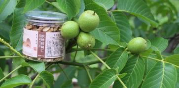 清水农发丨清水县农发公司启动全城农产品收购服务