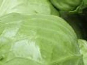 坪地农产品配送 助力深圳生活品质升级