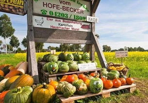 借鉴国外经验，破解农产品滞销难题