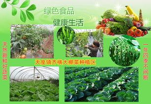 农产品信息发布 连接产销，赋能现代农业