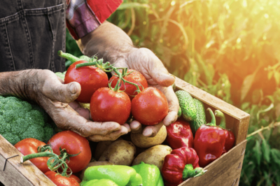 小目标定了！我国农产品加工业迈向32万亿新征程