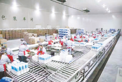 凝心聚力抓产业 厚积薄发富乡村——农产品发展助力乡村振兴新路径