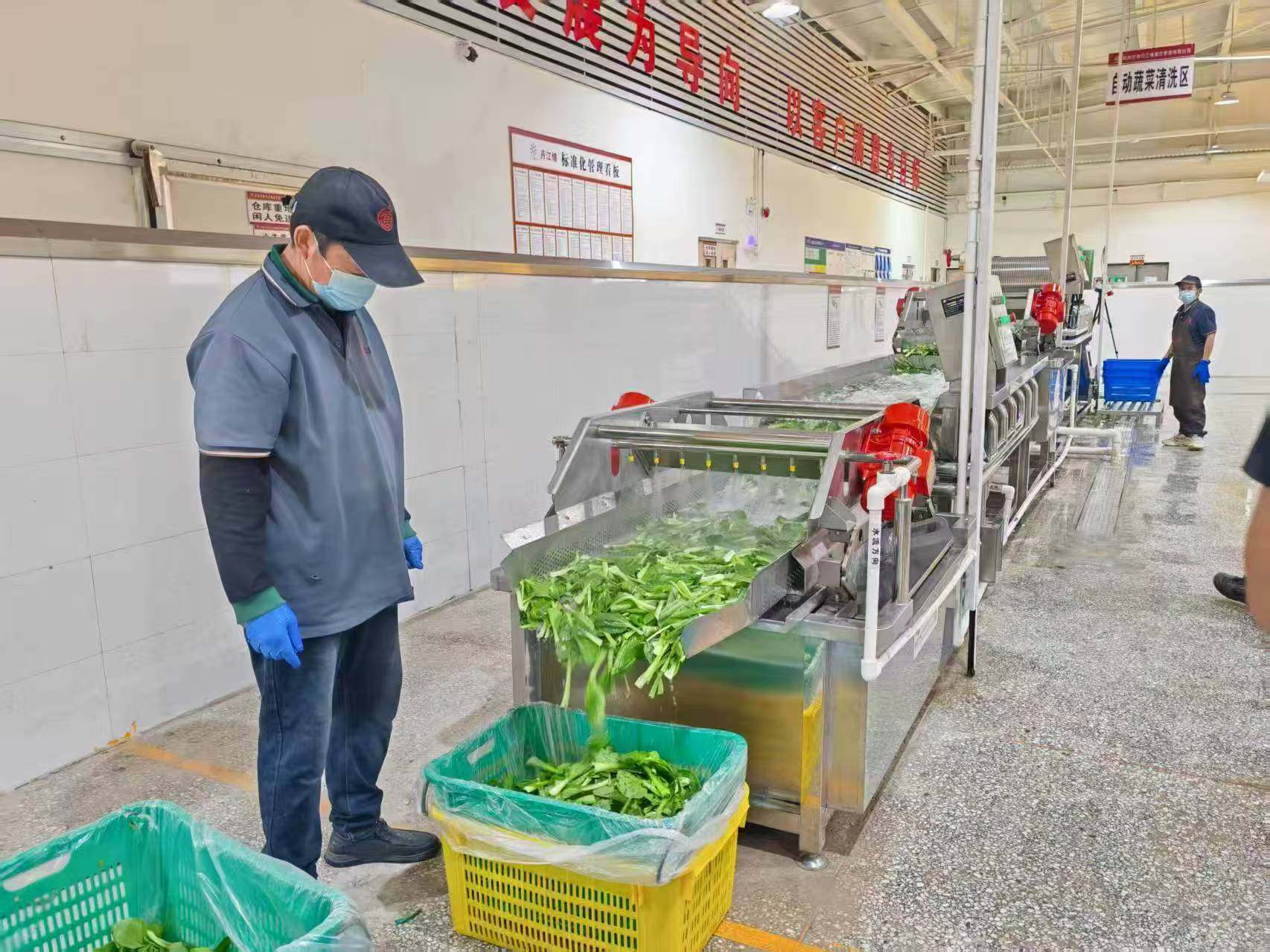 “吃”出生产力 揭秘超级工厂的餐饮管理智慧与农产品高效利用