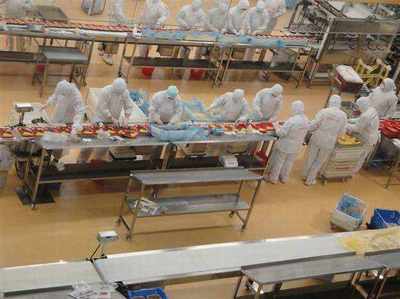 重庆铜梁出国务工 哪些国家农产品领域收入最高？